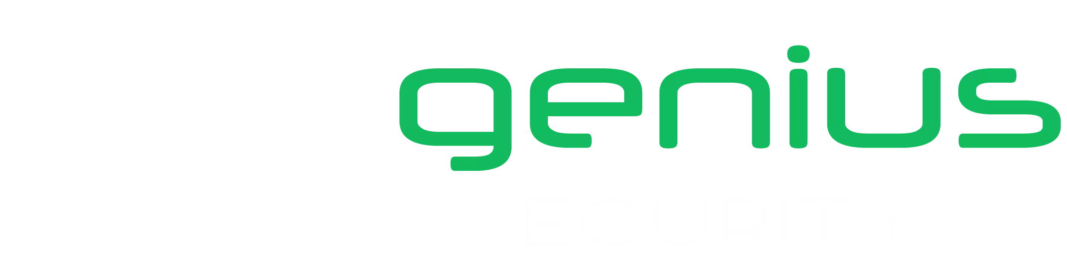 Cybersecurity and IT Maintenance expert - Data protection and Networks specialist